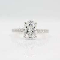 The Athena Hidden Halo Ring (Oval) in White Gold and Moissanite against a white background