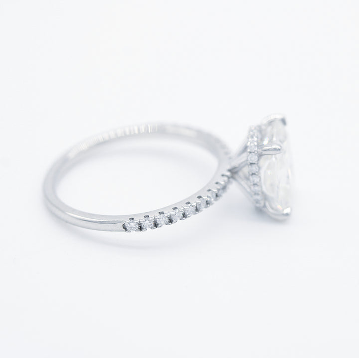 The Paris Hidden Halo Ring in white gold against a white background